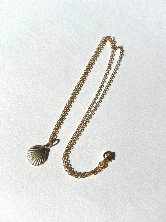 Gold Fill Shell Necklace